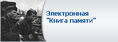 Электронная книга памяти